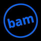 bam profile image