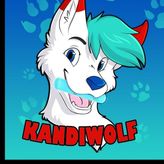 DJ_Kandiwolf profile image