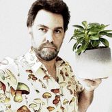 WeirdwithBeard Archives profile image