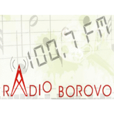Radio Borovo profile image