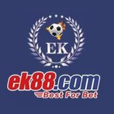 EK88 profile image