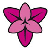 Herbstzeitlosen Party profile image