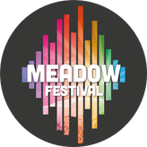 MeadowFestival profile image