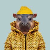 King Hippo profile image