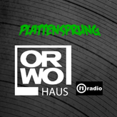 ORWOhaus Plattensprung profile image