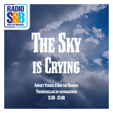 The Sky Is Crying profile image