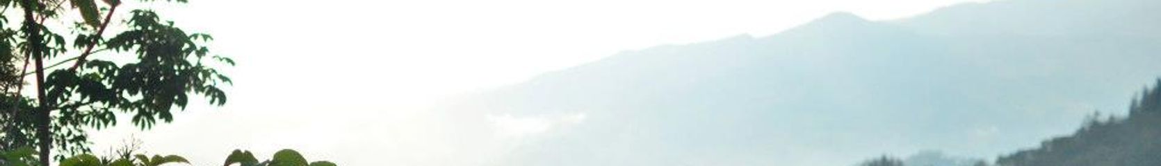 Mixcloud banner for @elm