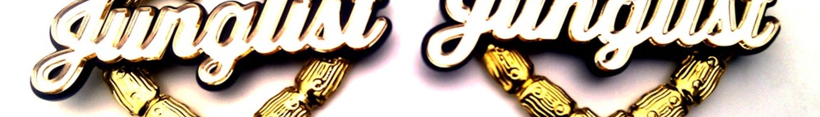Mixcloud banner for @skirts