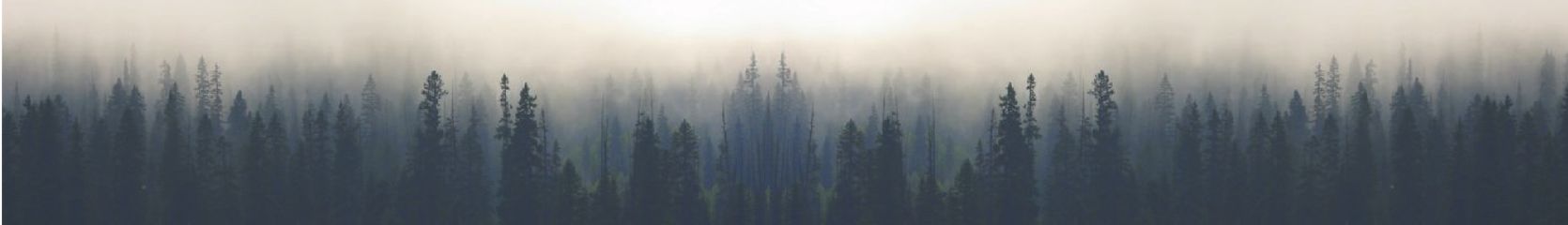 Mixcloud banner for @Lakeside