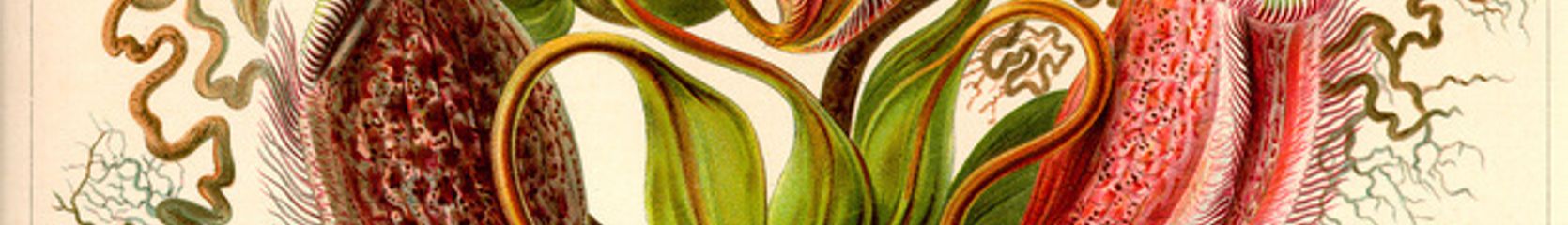 Mixcloud banner for @concord