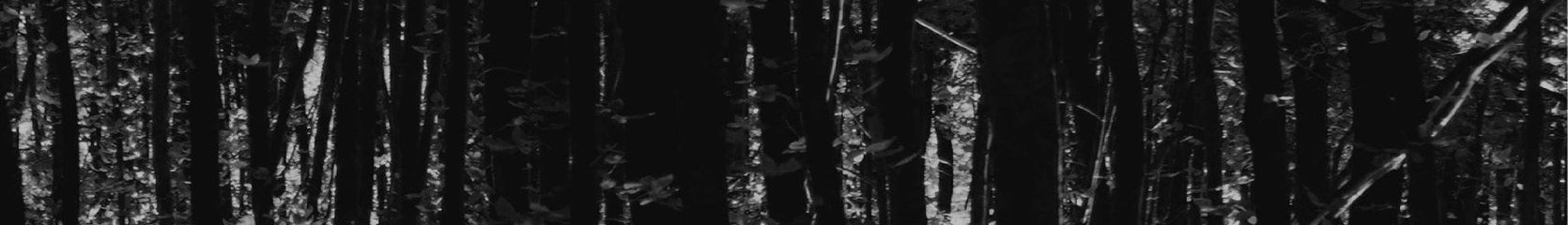 Mixcloud banner for @horns