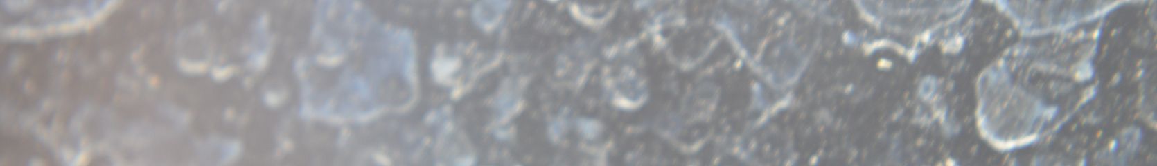 Mixcloud banner for @nUr