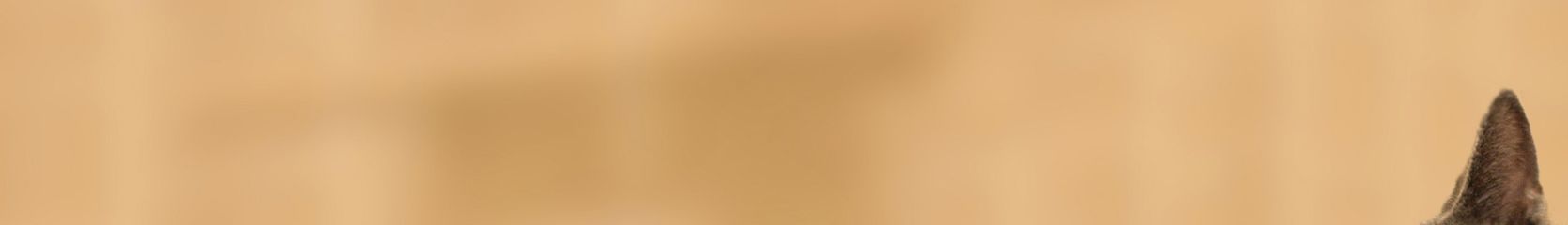 Mixcloud banner for @b
