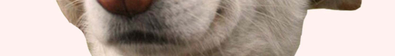 Mixcloud banner for @CRUSHES