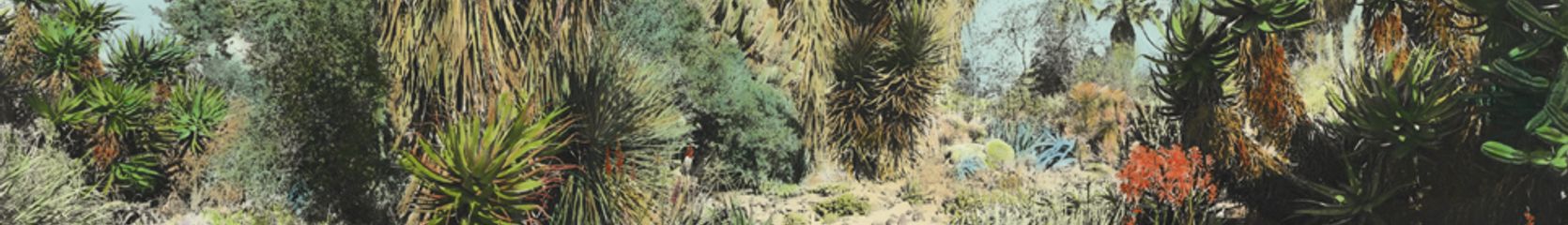 Mixcloud banner for @BLEACHED