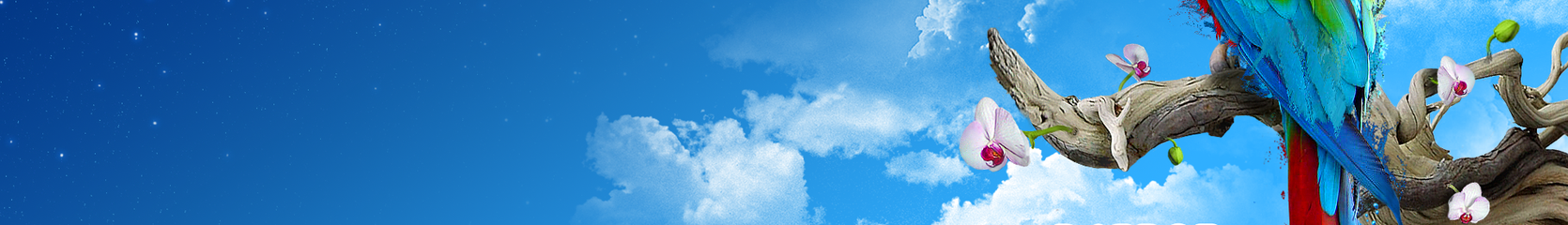 Mixcloud banner for @BuMMeR