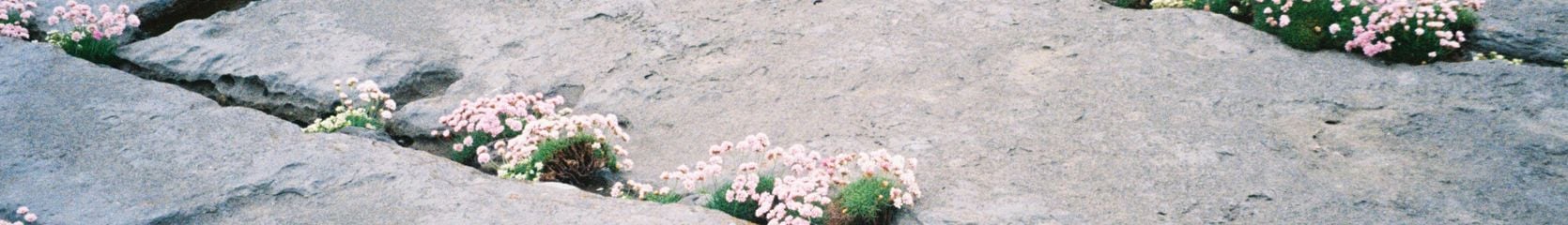 Mixcloud banner for @oaf