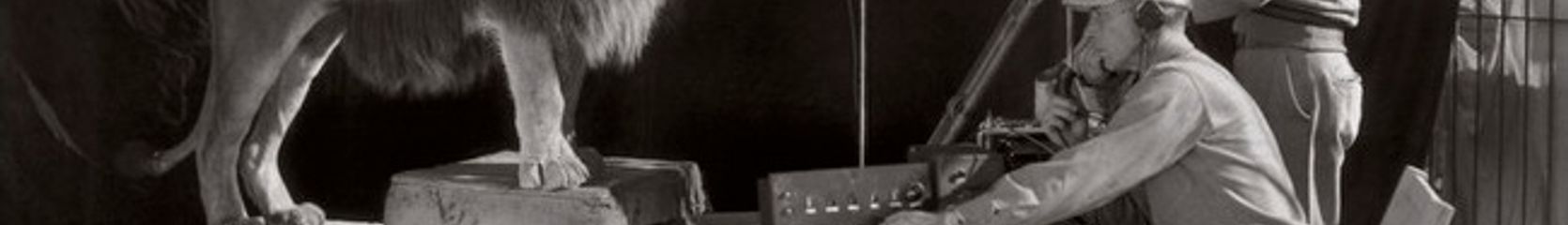 Mixcloud banner for @tn