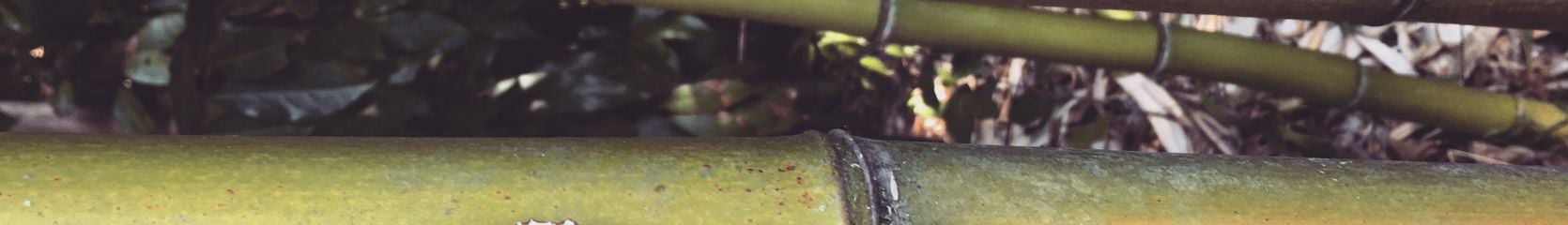 Mixcloud banner for @Backbone