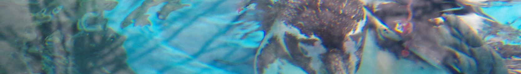 Mixcloud banner for @tokito