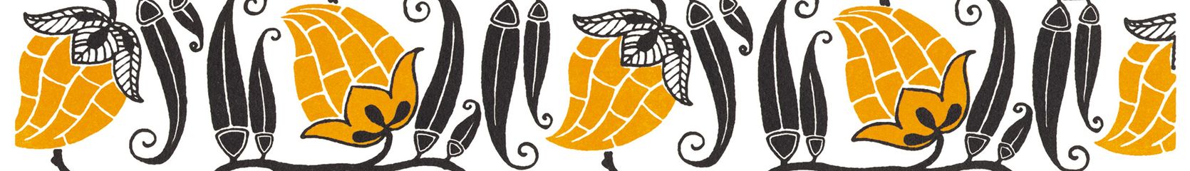 Mixcloud banner for @flexible