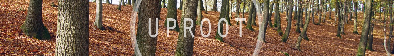 Mixcloud banner for @uproot