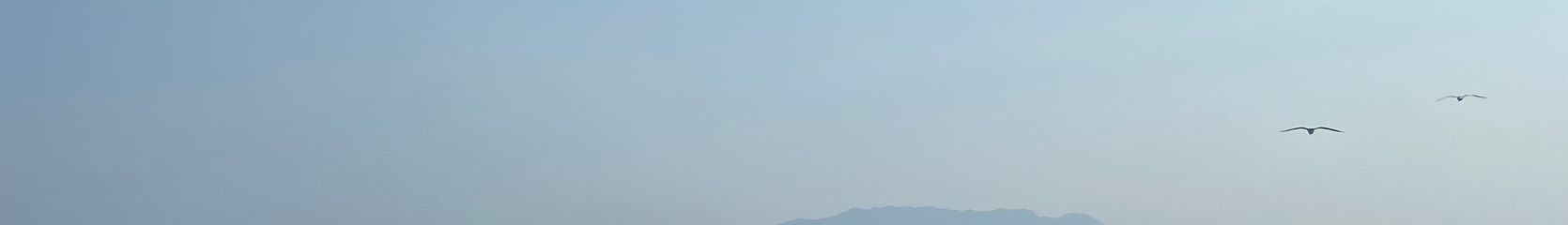Mixcloud banner for @sgd