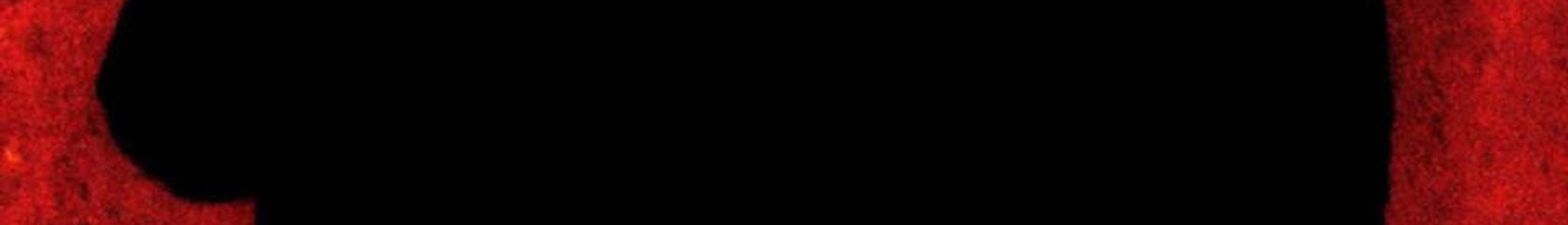 Mixcloud banner for @Databases