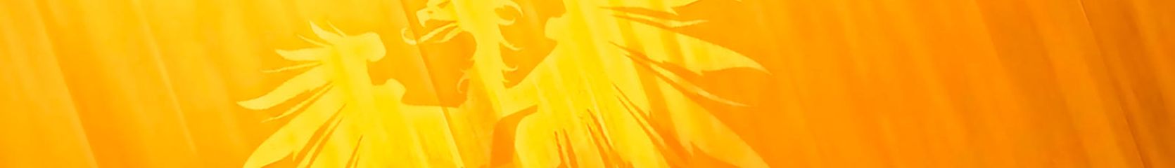 Mixcloud banner for @radiator