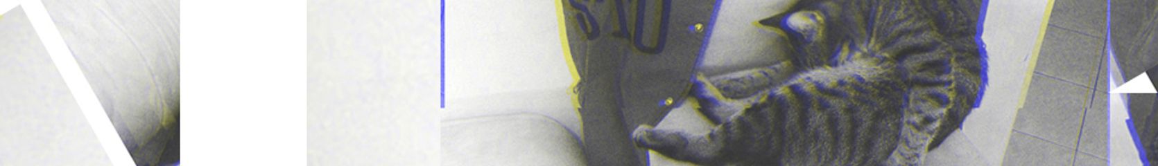 Mixcloud banner for @Wilkes