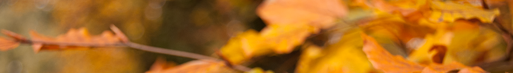 Mixcloud banner for @duff