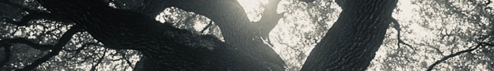 Mixcloud banner for @Slogan