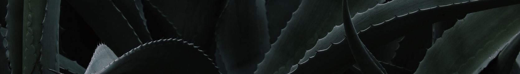 Mixcloud banner for @aesthetic