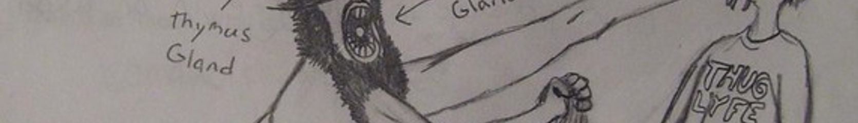 Mixcloud banner for @Gland