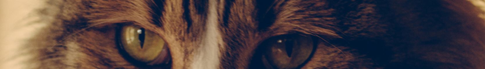 Mixcloud banner for @biotech