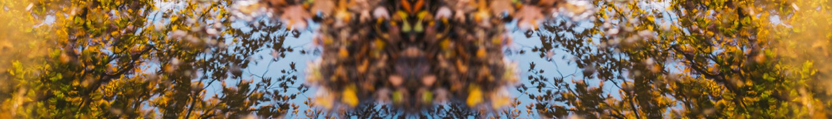 Mixcloud banner for @Greenhouse