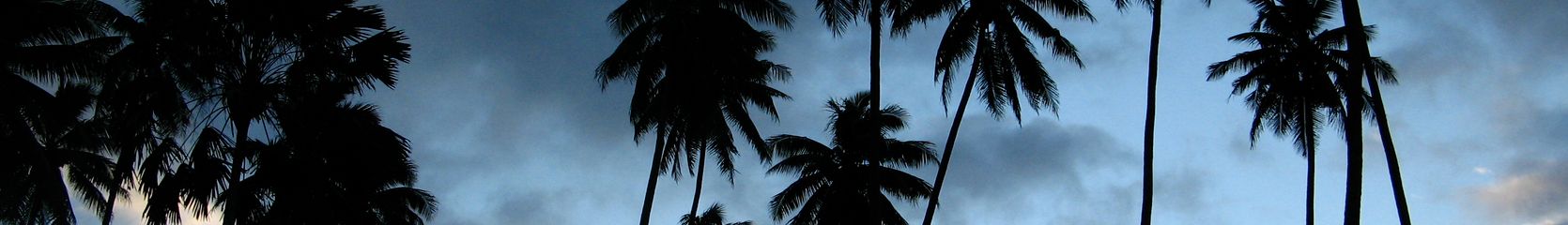 Mixcloud banner for @intercontinental