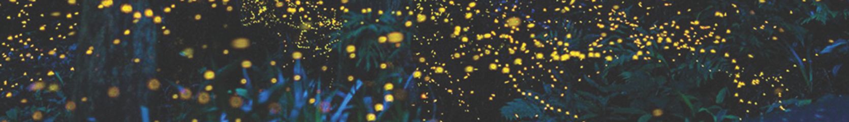 Mixcloud banner for @Fireflies