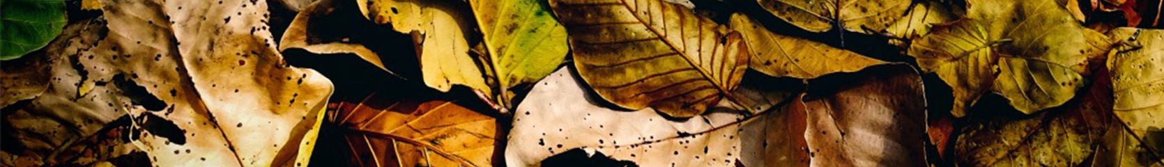 Mixcloud banner for @Ihu