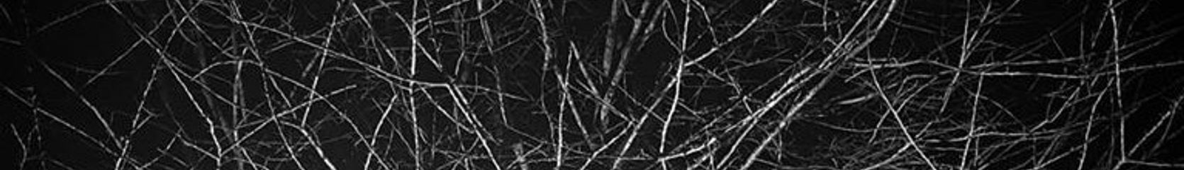 Mixcloud banner for @darkness