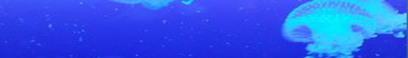 Mixcloud banner for @vest