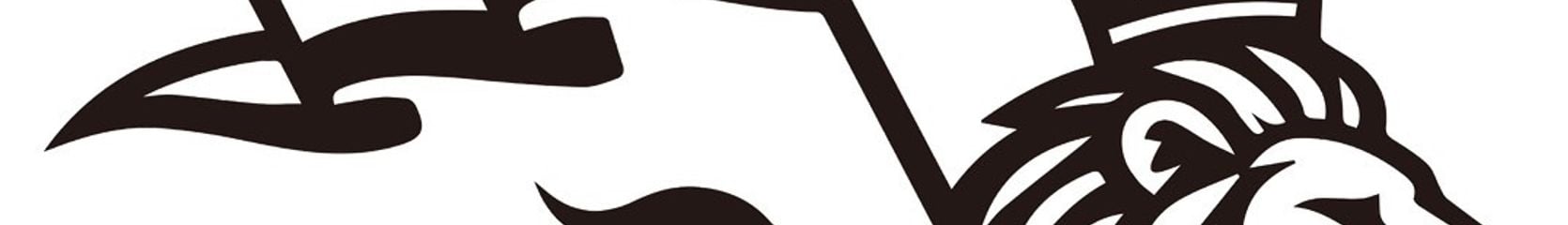 Mixcloud banner for @haghi