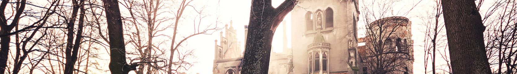 Mixcloud banner for @disappeared