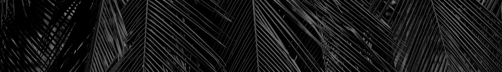 Mixcloud banner for @DECIDE