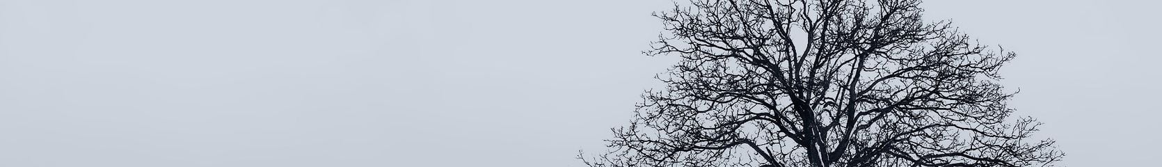 Mixcloud banner for @commit