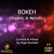 Bokeh (Organic & Melodic) Mix #341 - 07-Mar-2026