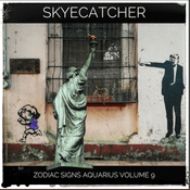 Zodiac Signs Aquarius Volume 9