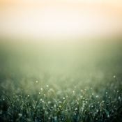 Just [Relax / Sleep] Music