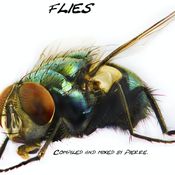 Flies