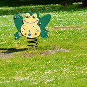 Spring Bounce